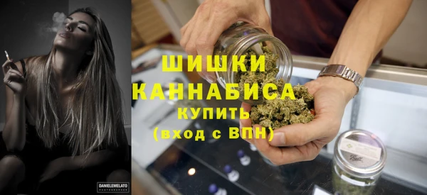 молекула духа Вязьма