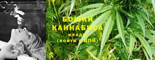 молекула духа Вязьма