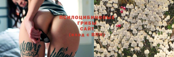прущая мука Вязники