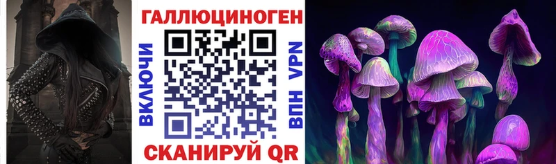 Купить  Данков  Галлюциногенные грибы Psilocybe 