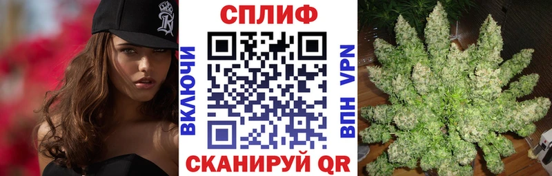 Бошки Шишки план  Купить где  Данков 